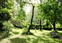 GreenMetric: l’Alma Mater prima in Italia per sostenibilità