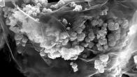 Batterie agli ioni di litio: più efficienti grazie alla chimica