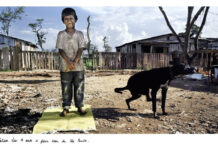 FUJIFILM presenta DREAMS