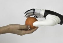 Scoperti i principi guida che regolano la scelta della presa durante lo scambio di oggetti tra uomo e robot