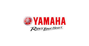 Lieve calo nei ricavi consolidati 2019 di Yamaha Motor Records