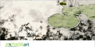 Arriva il “giardiniere virtuale” per progettare le aree verdi nel rispetto della natura