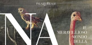 NEC partner della mostra: “IL MERAVIGLIOSO MONDO DELLA NATURA Una favola tra arte, mito e scienza”