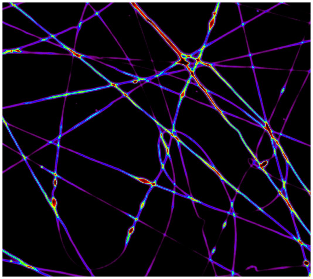 Network_Nanofibre