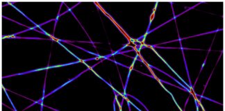Sviluppato il nuovo nano-laser a ragnatela