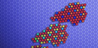 Movimenti nel micromondo