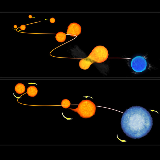 2.Stellar_collisions_UM