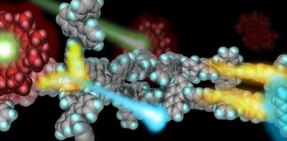 Nanoantenne invisibili che non sprecano energia solare
