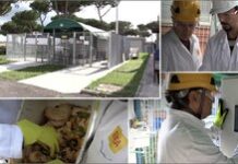 Biogas: ENEA presenta innovativo impianto ad alto rendimento