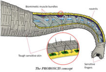Al via il progetto PROBOSCIS coordinato da IIT