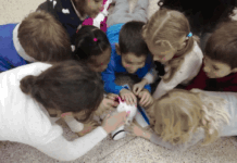 MyEdu porta in classe la robotica educativa