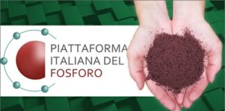 Da ENEA tecnologie innovative e buone pratiche per il recupero del fosforo