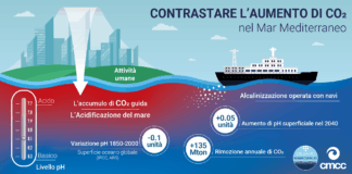 La rimozione di CO2 dall’atmosfera e il progetto Desarc-Maresanus