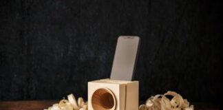 VAIA CUBE: amplificatore passivo nato per ridare vita agli oltre 42 milioni di alberi abbattuti durante la tempesta in Triveneto nell’ottobre 2018