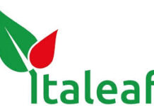 Nasce algoWatt la nuova GreenTech Company dalla fusione di TerniEnergia e Softeco