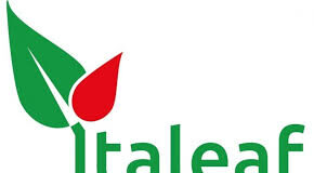 Nasce algoWatt la nuova GreenTech Company dalla fusione di TerniEnergia e Softeco