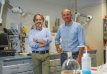 Molecole fluorescenti attivano reazioni chimiche “green”