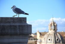 #500NatureChallenge: Fiat invita a testimoniare il nuovo equilibrio uomo-natura