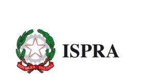 Presentata la 19esima edizione del Rapporto Rifiuti Speciali dell’Ispra