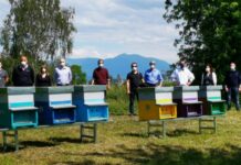 Giornata Mondiale delle Api: il sito Electrolux di Susegana riserva loro uno spazio verde