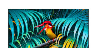 TCL svela le nuove TV QLED: le serie C71 e C81
