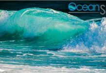 Energia dal mare: Italia al primo posto nell’area mediterranea per tecnologie e investimenti pubblici