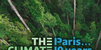 Amazon annuncia il Climate Pledge Fund