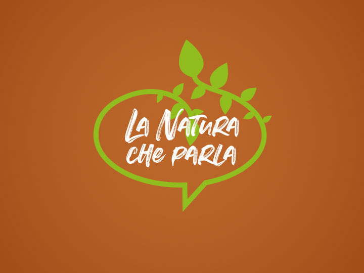 Kia al fianco del CNR per la ricerca ambientale