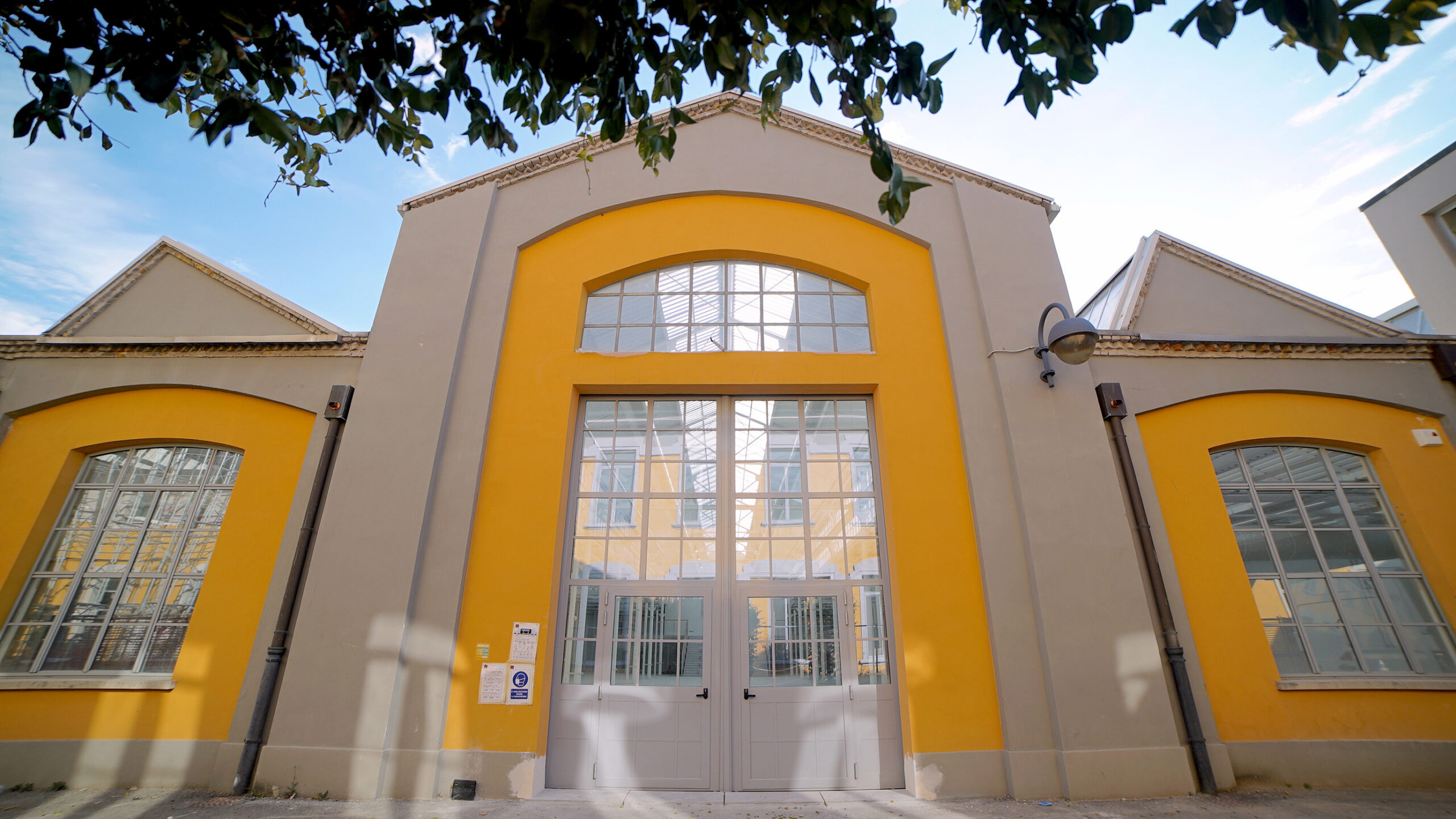 Ingresso