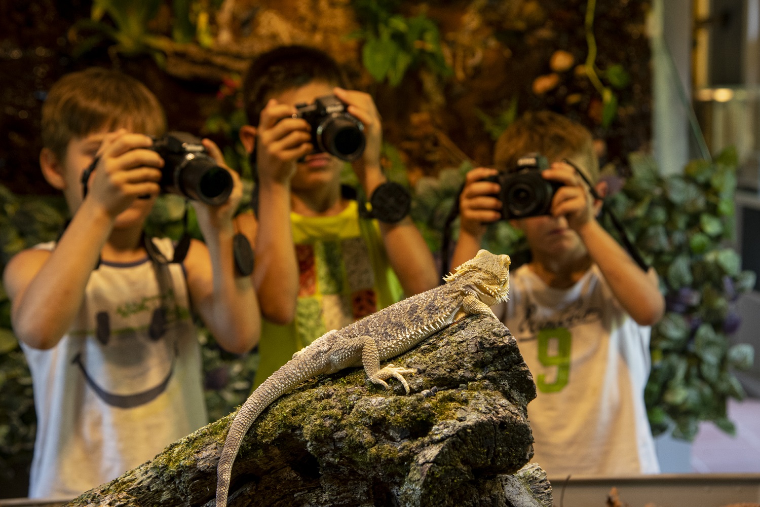 Nikon è partner di Ciabot degli Animali