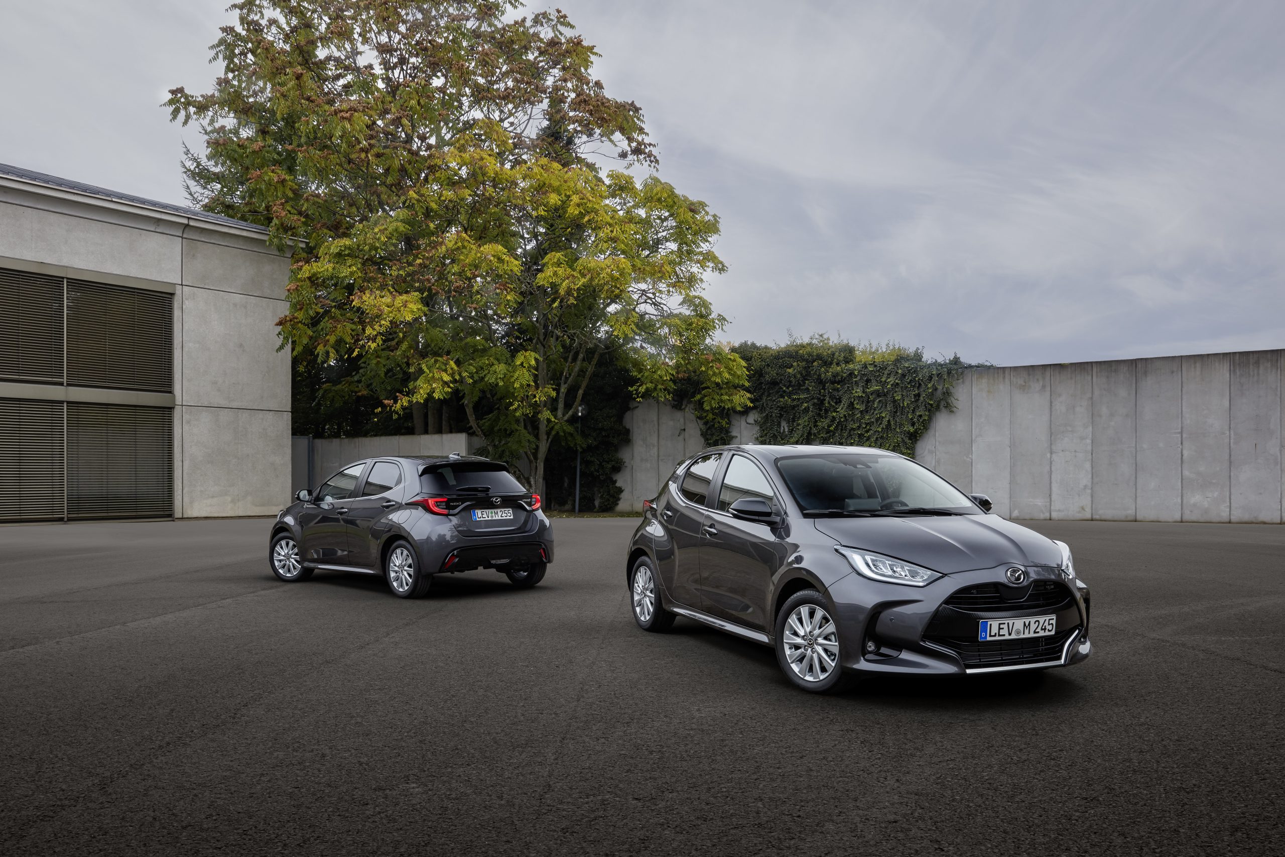 Mazda lancia la sua prima full-hybrid