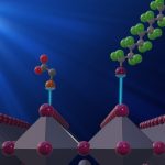 Celle solari a base di perovskite più efficienti grazie alla chimica supramolecolare
