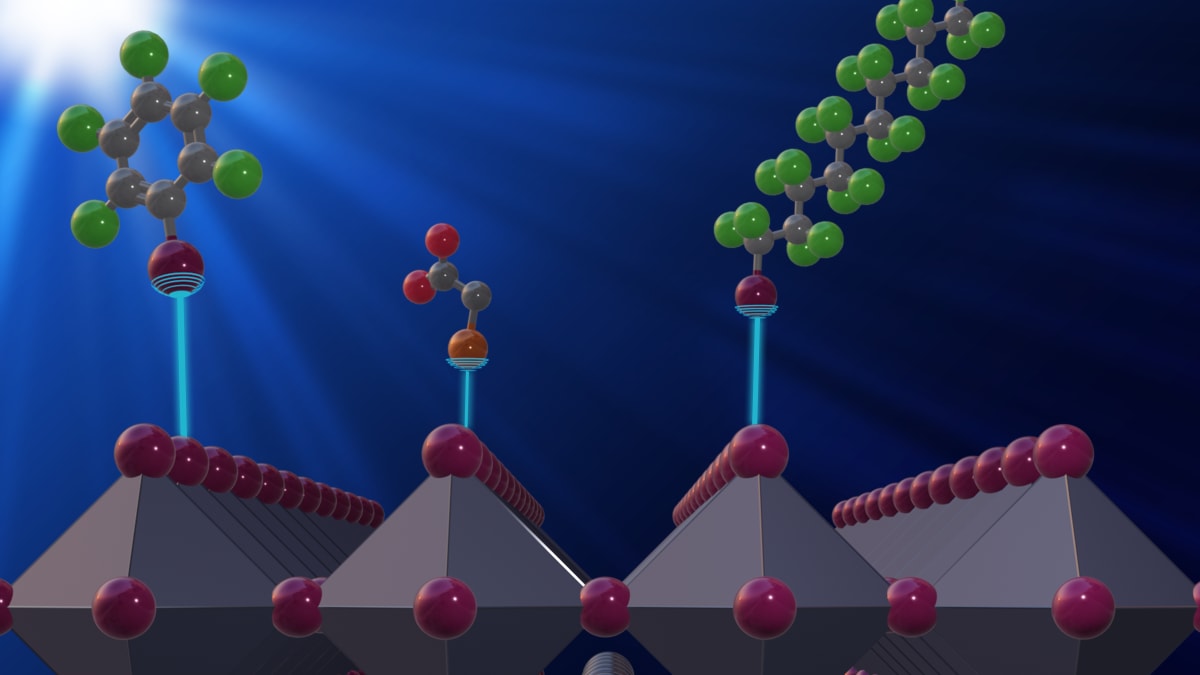 Celle solari a base di perovskite più efficienti grazie alla chimica supramolecolare