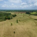 Vaillant Group lancia il suo primo progetto di riforestazione in Costa Rica