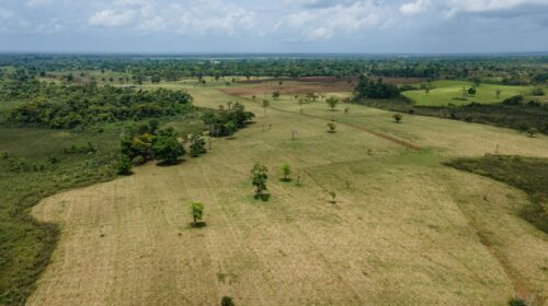 Vaillant Group lancia il suo primo progetto di riforestazione in Costa Rica