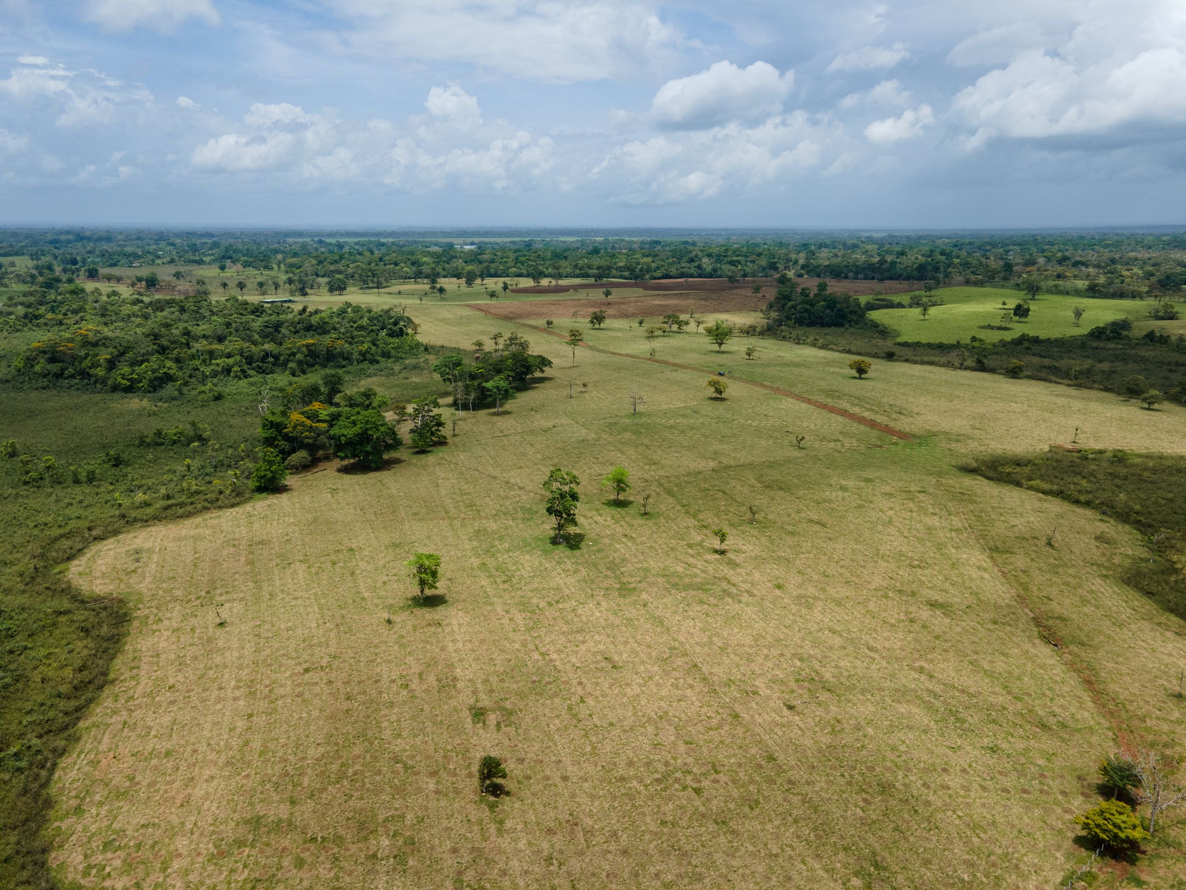 Vaillant Group lancia il suo primo progetto di riforestazione in Costa Rica