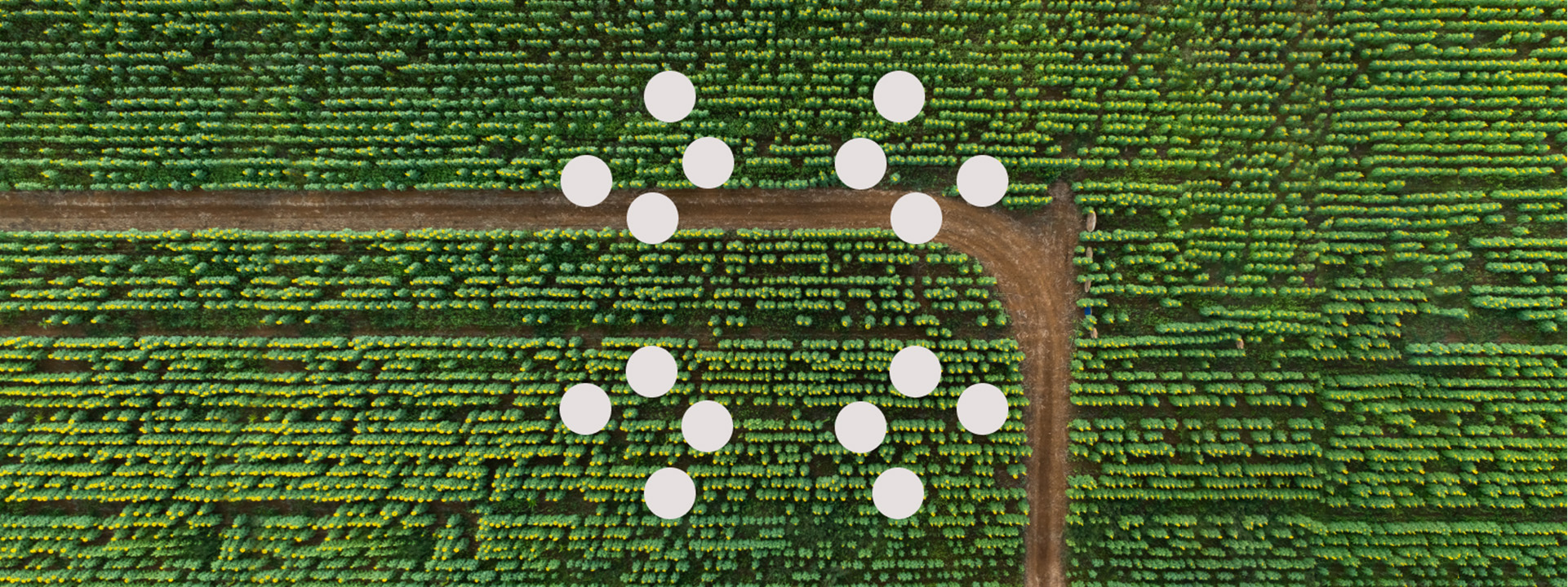 IBM Cloud Carbon Calculator aiuta a raggiungere obiettivi di sostenibilità e a ridurre le emissioni di gas serra