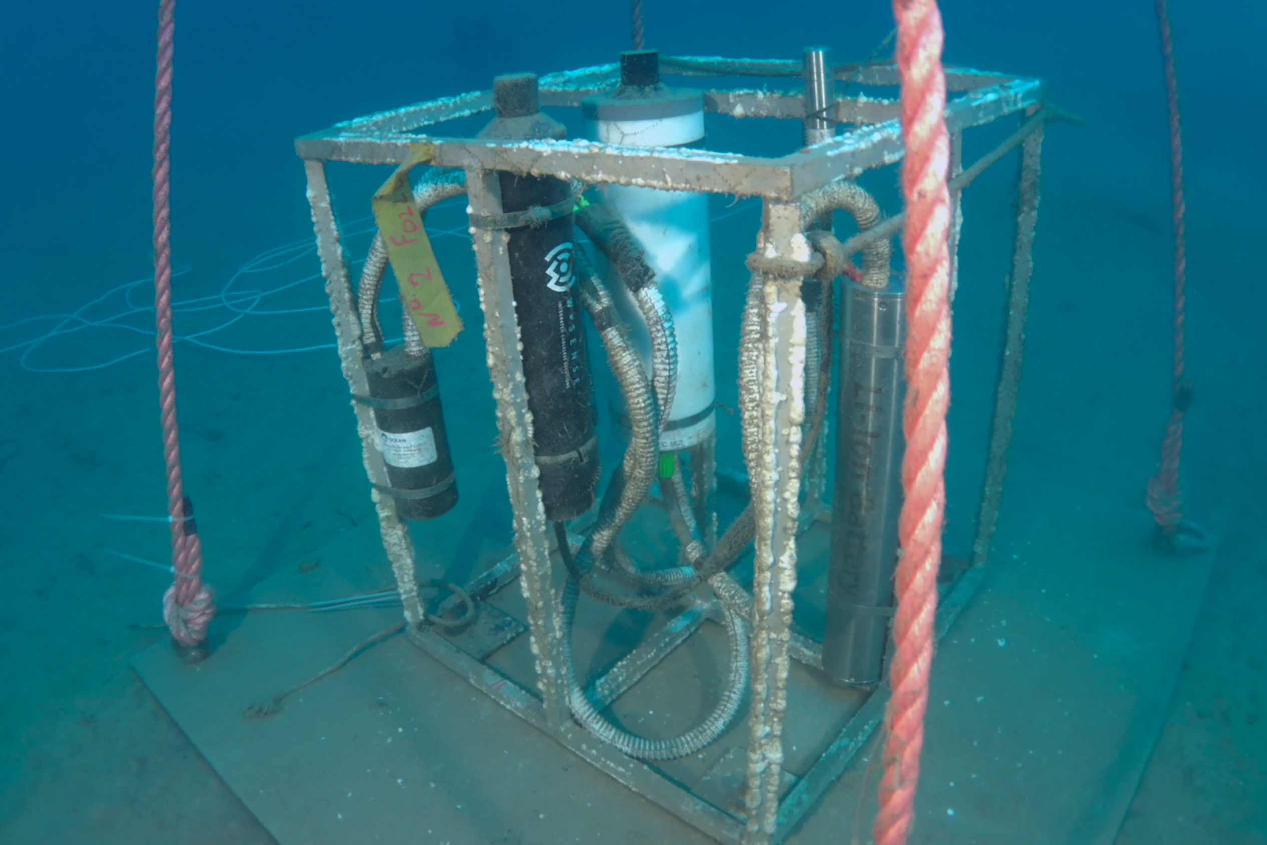 Terna sperimenta la tecnologia dell’internet of underwater things