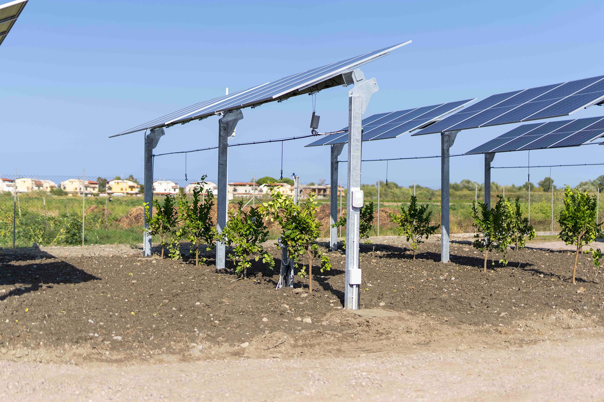 Agrivoltaico: al via impianto hitech ENEA/EF Solare Italia in Calabria