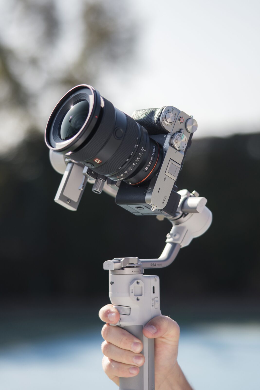 6zv65SFm
