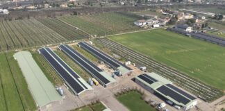 Inaugurato un nuovo impianto fotovoltaico da 1 MWp presso località Chievo a Verona
