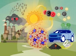 Trasformare la CO2 in energia grazie al Sole e a scarti delle batterie al litio