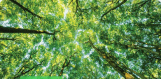 Schneider Electric conferma i suoi progressi per il completamento del programma Schneider Sustainability Impact 2021–2025