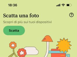 Boom di acquisti online ma il ritiro dell’usato resta un diritto poco utilizzato